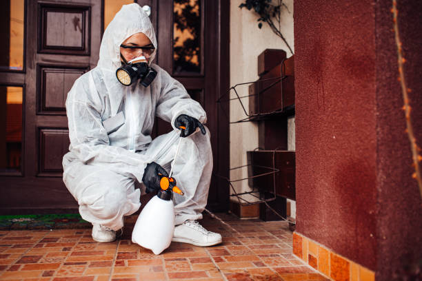 Attic and Crawl Space Rodent Treatment in Central Square